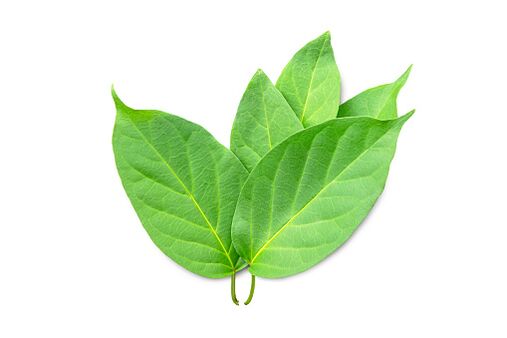 A Blutforde Gymnema sylvestre kivonatot tartalmaz